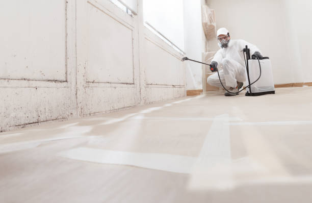 24/7 Emergency Mold Inspection And Testing experts in Quincy, IL
