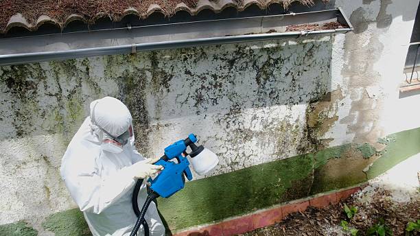Top rated local Mold Inspection And Testing specialists in Quincy, IL